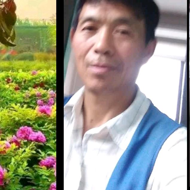 李运友