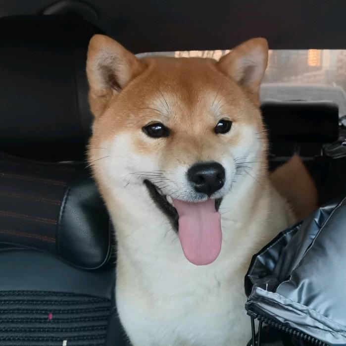 💕口吅品㗊💕