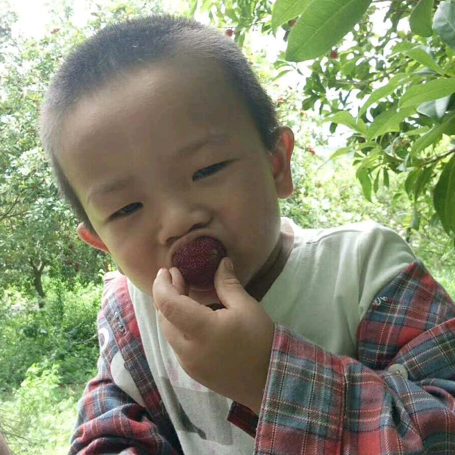 心尖上的人儿