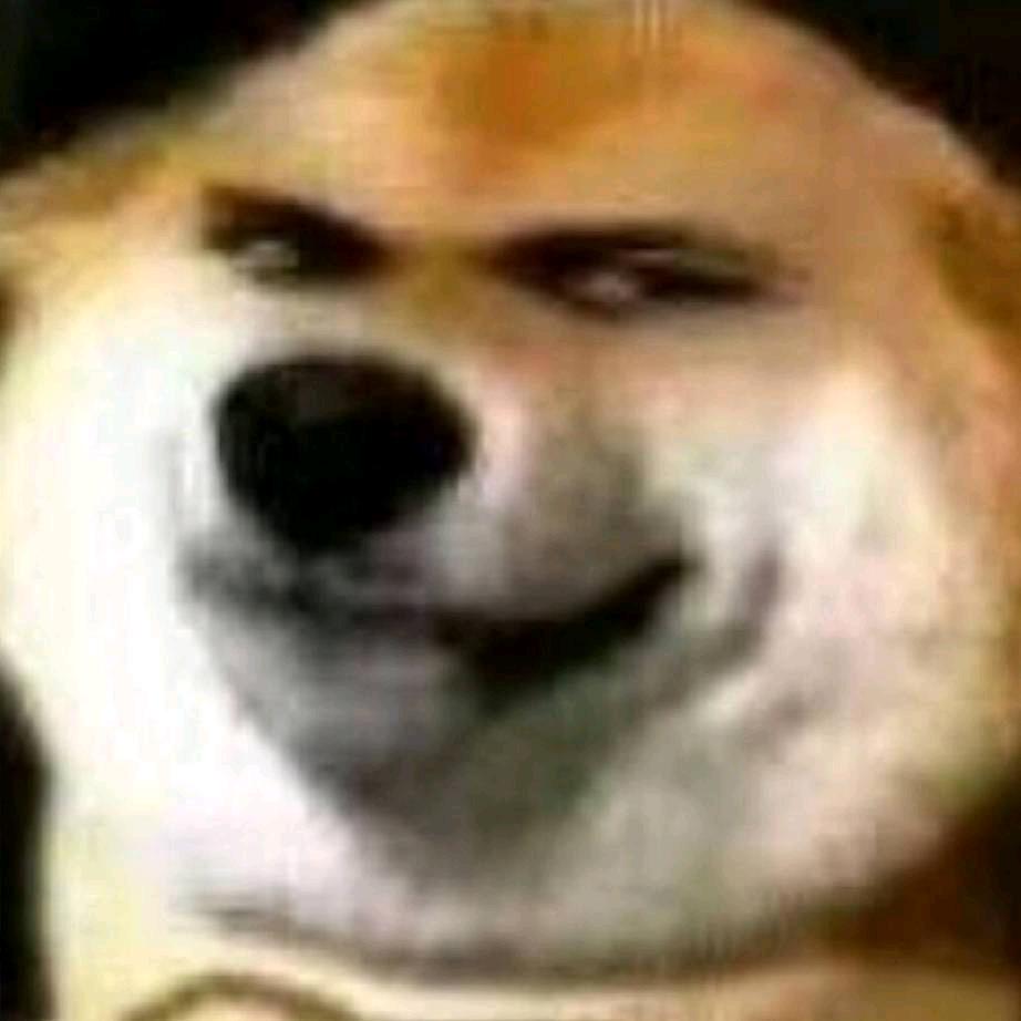 沙雕狗子
