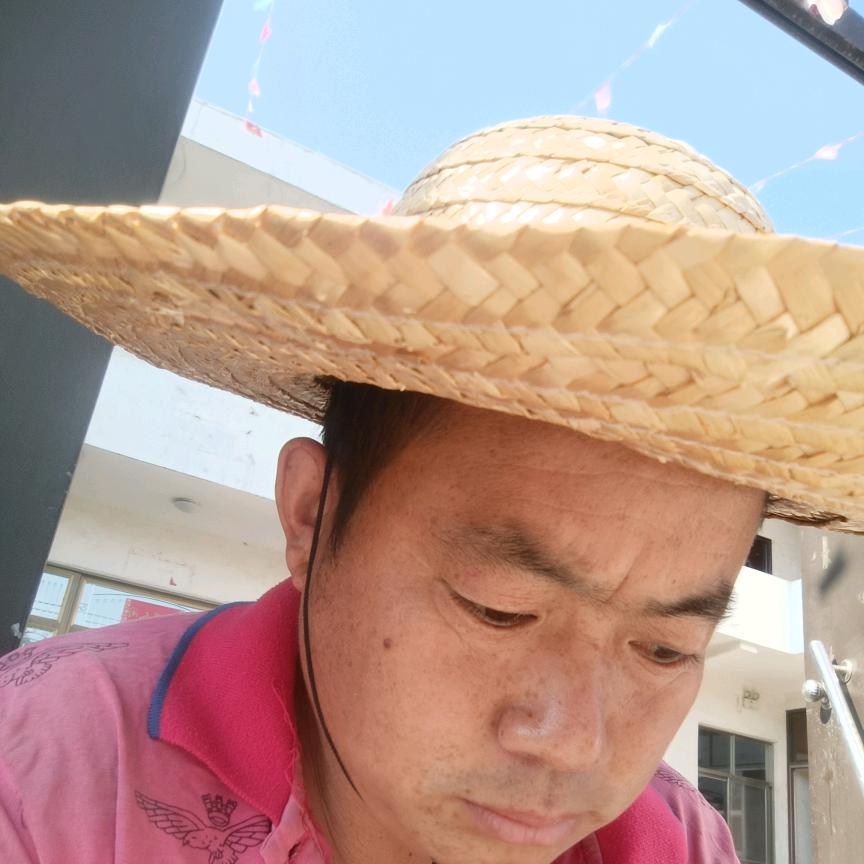 陈太双