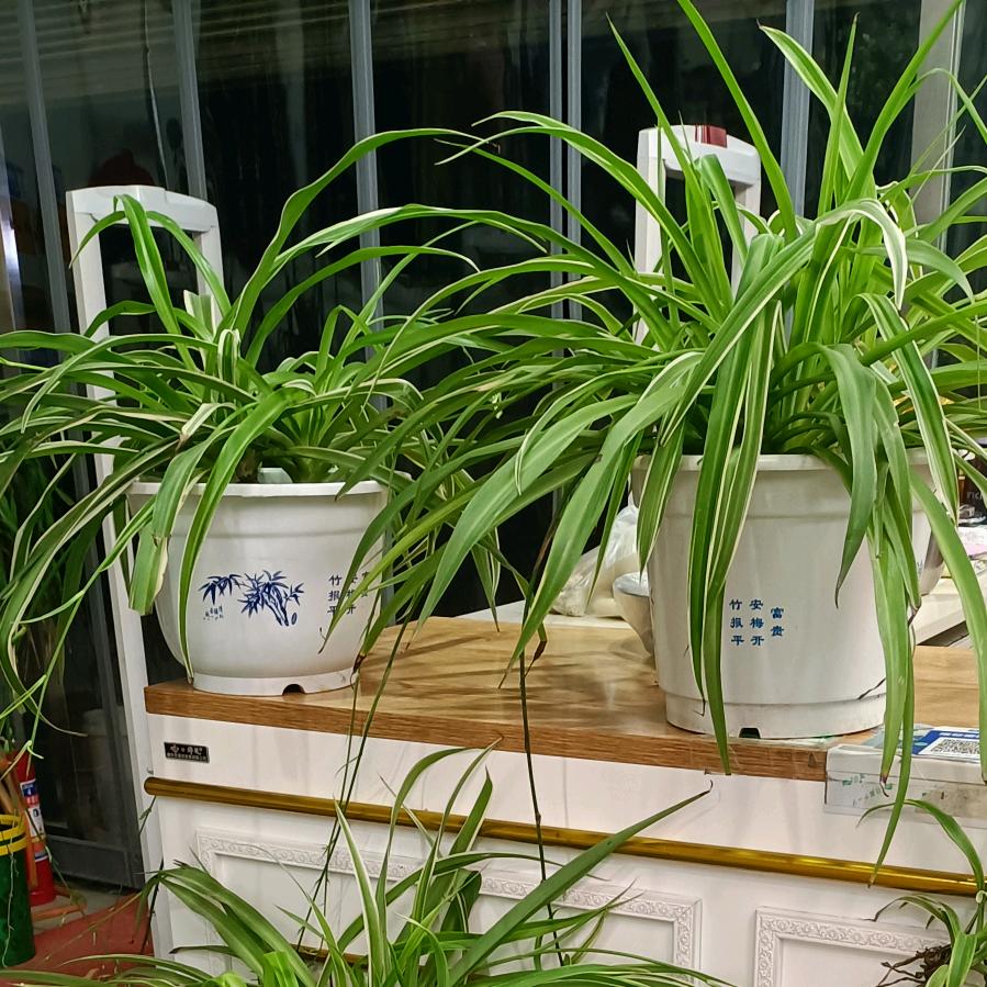 芝兰服装工厂店