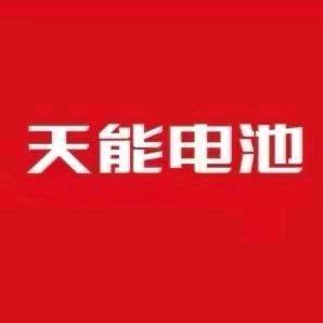 闫姐电池
