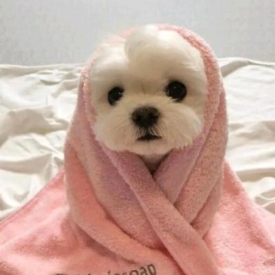 饲养新风向