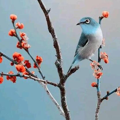 绿水悠悠