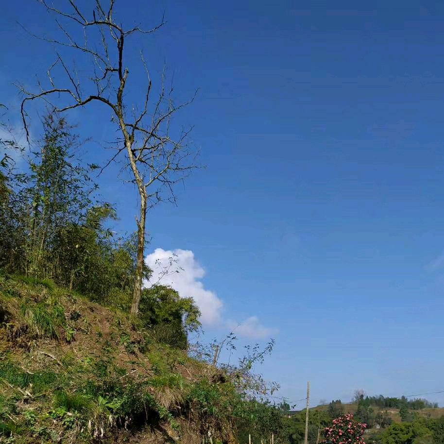 居家工作的宝妈