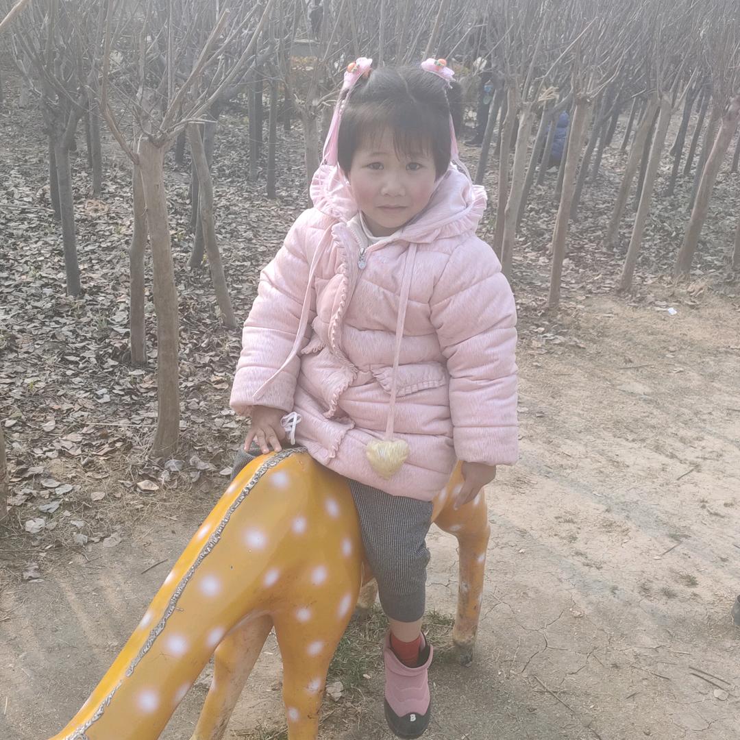安姐(免费教带货)