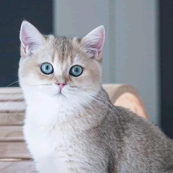 人间有爱