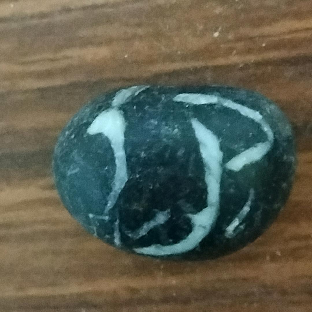 愚子游