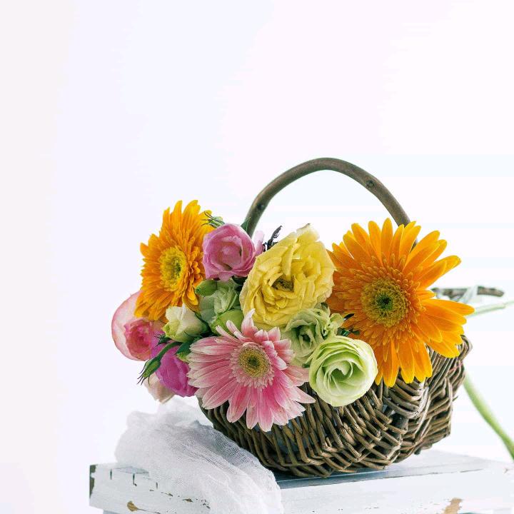 名人百花