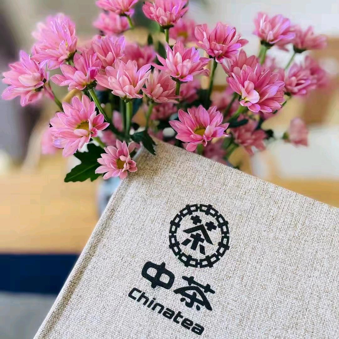 中国茶叶鹭岛店