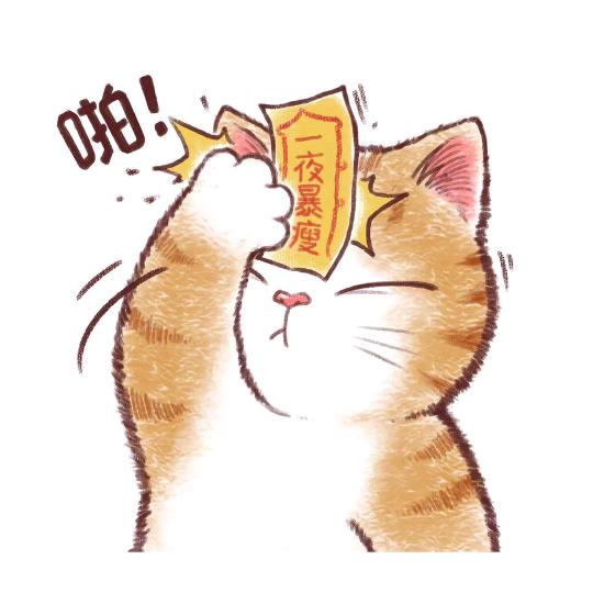 就是你
