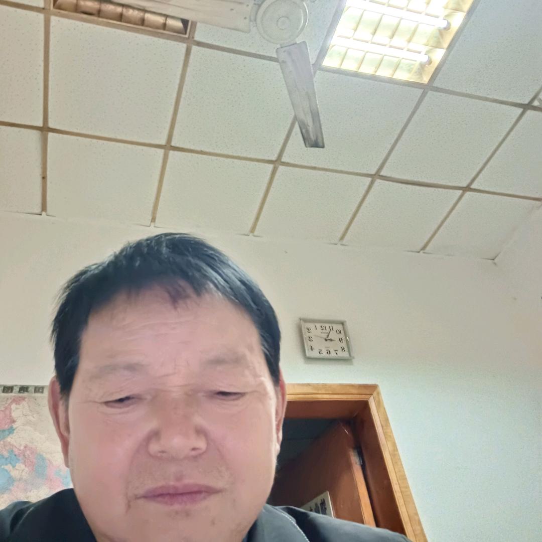 人间有情