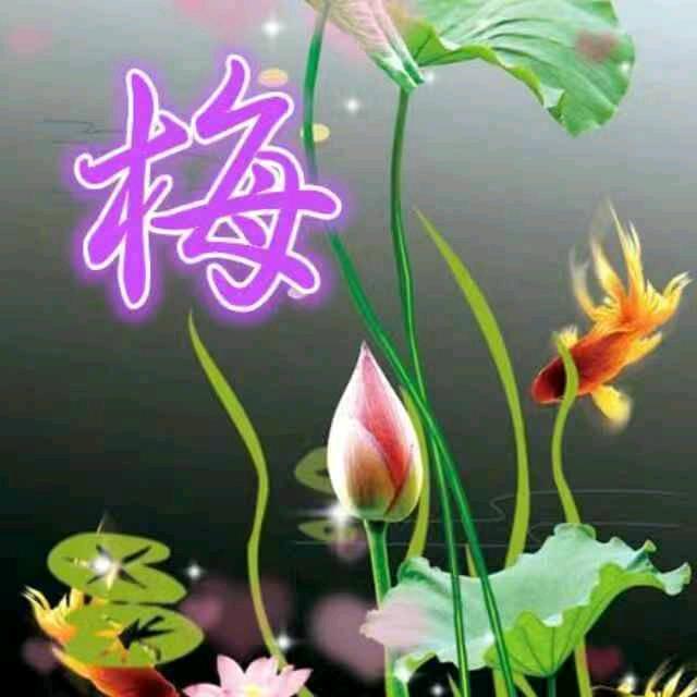 🌹健康平安🌹