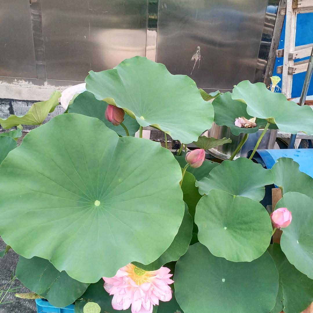 展鑫百货