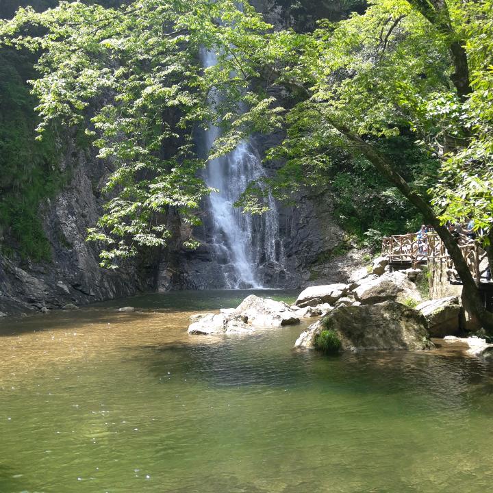 一路有我