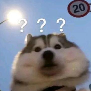 爱看火影的海贼