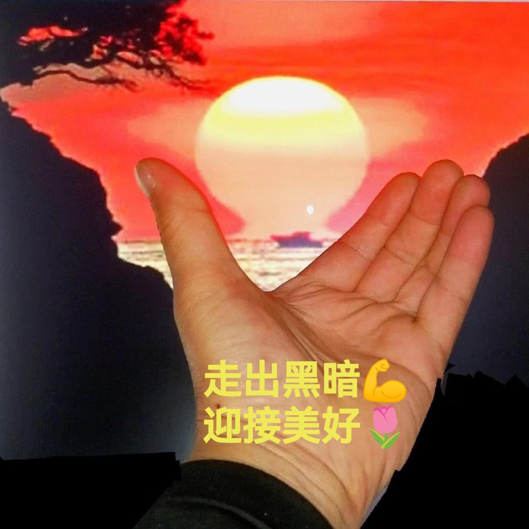 静悟🙏