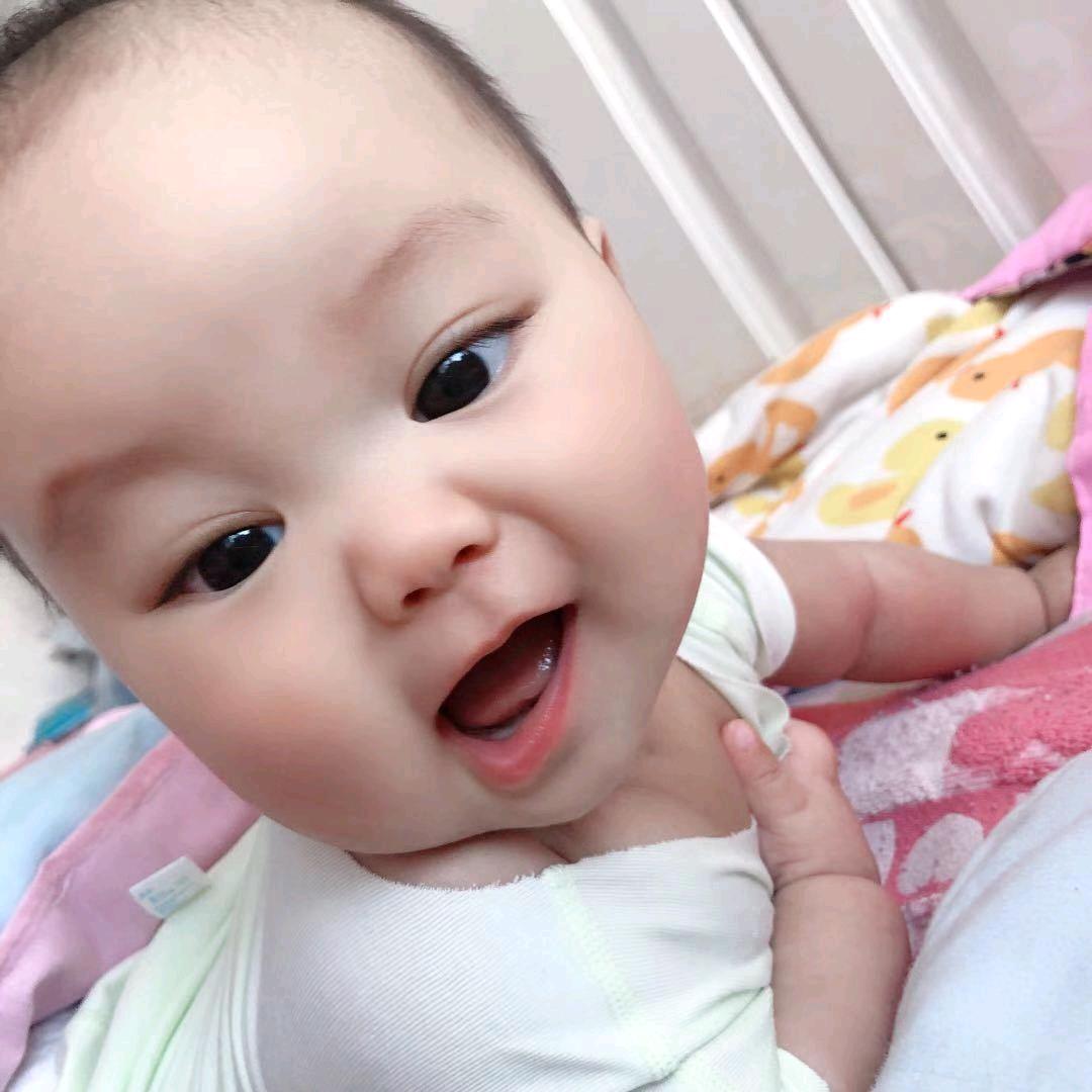 小熊