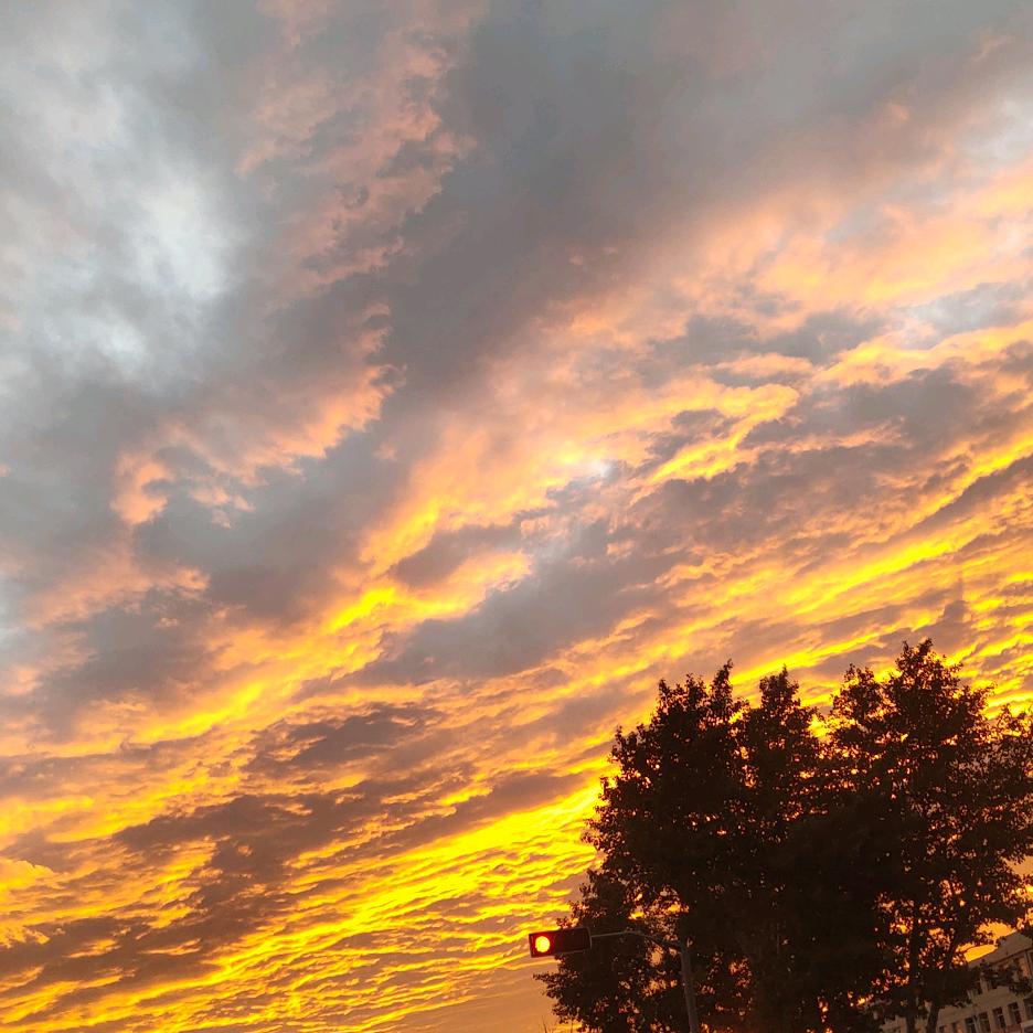 💫乐悠～刘💞