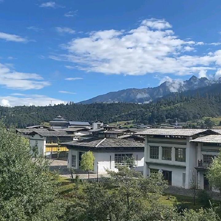 随风而来再随风而去
