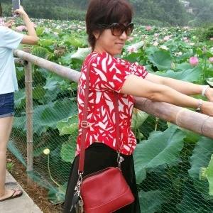 向香连