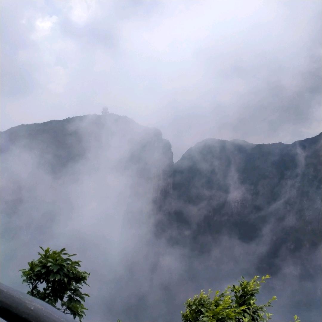 lisa【滢滢】💛🍭