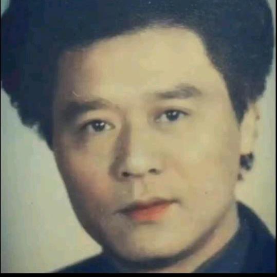 飞翔的马儿