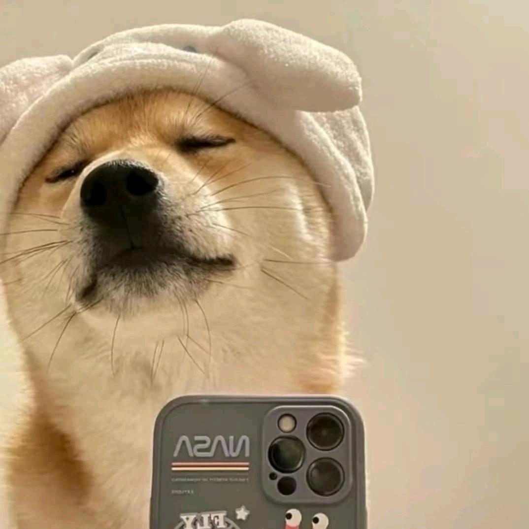 不然追剧
