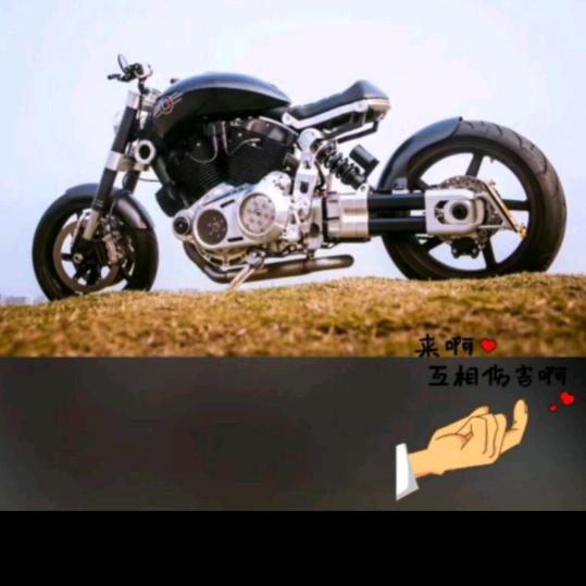 🐉青峰（滴滴响）🐉