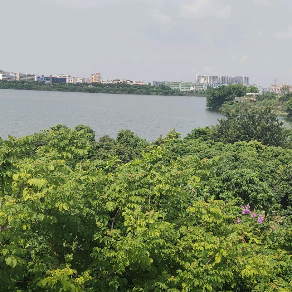 现实是场梦