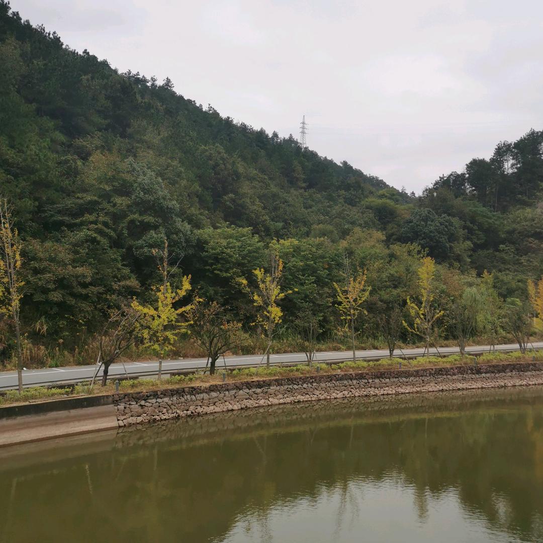 仁玉居士