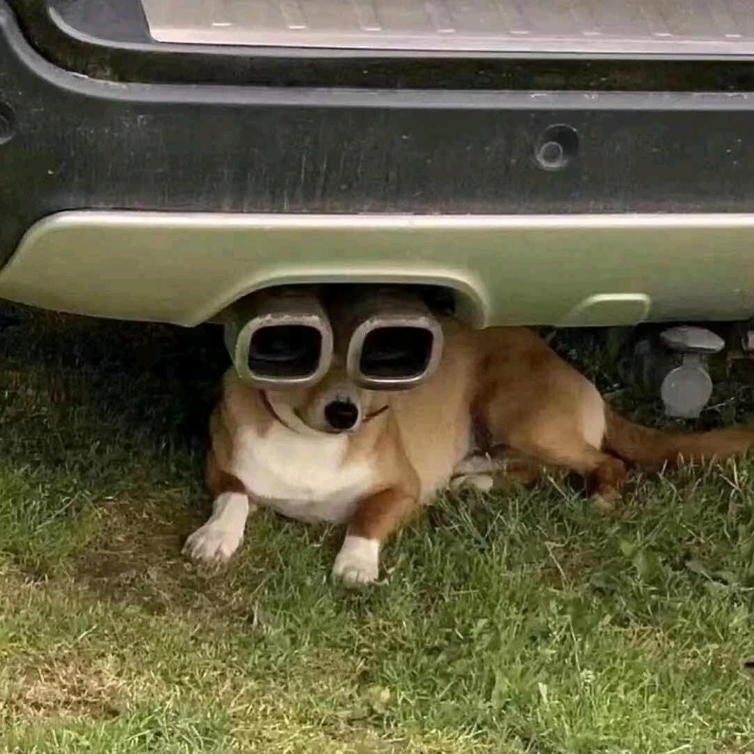 弓弦