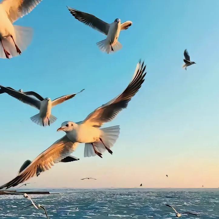 小胖