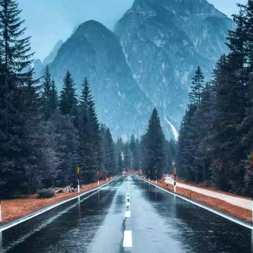 黑夜（摸泪电竞19号打手）