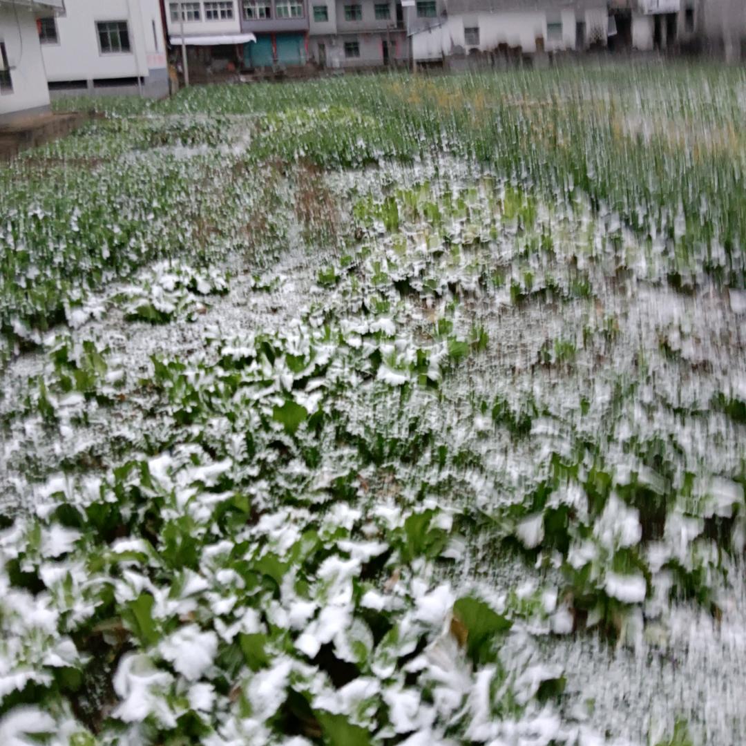 封心所爱，只为一人