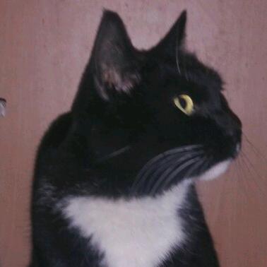 摯愛至愛怡美麗娟媛婷