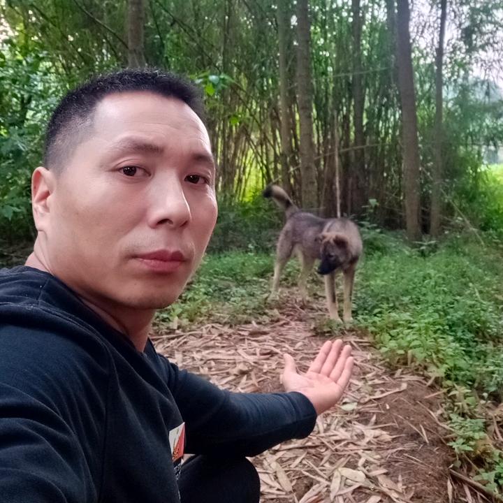 硬汉
