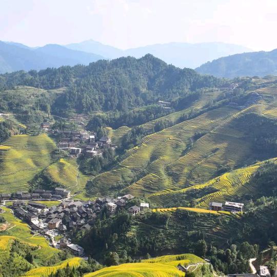 ༂༒冰冷ༀ༆誓言ༀ༆