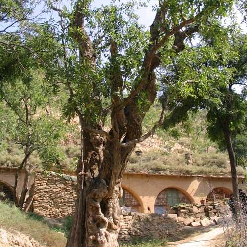 人傍凄凉立暮秋