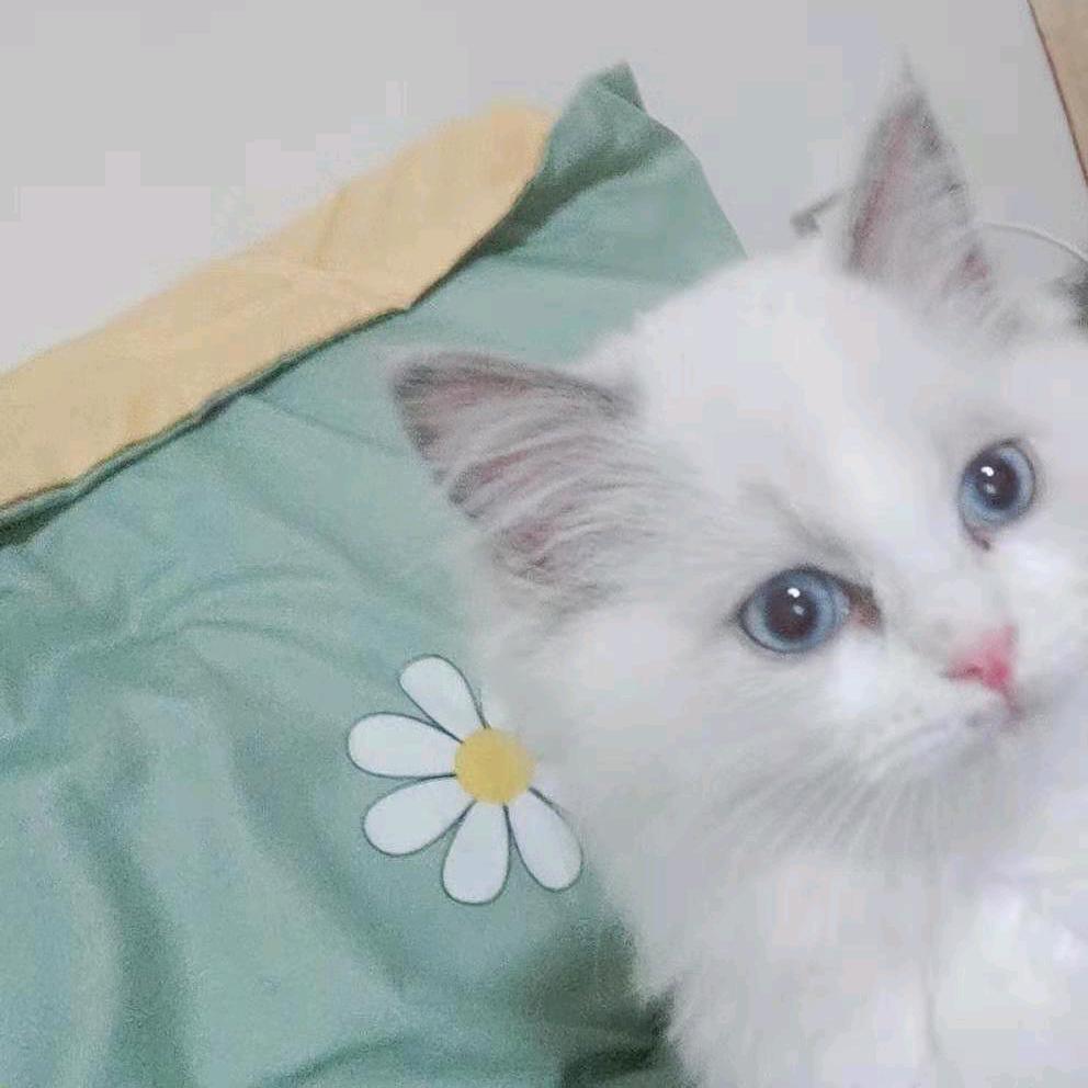 无言以对市民张