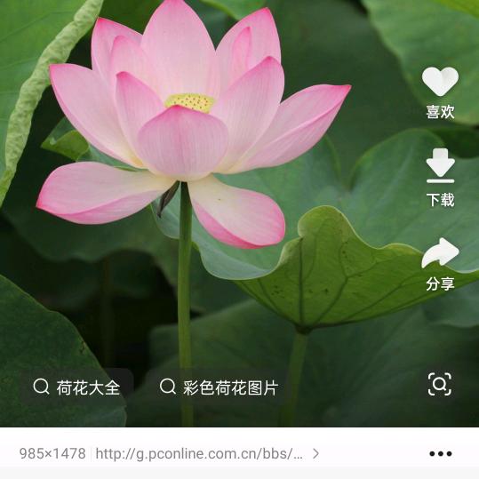 何塘夜色小海鲜酒楼，金蛇头湖边