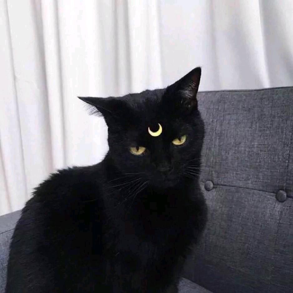 鹤戾`