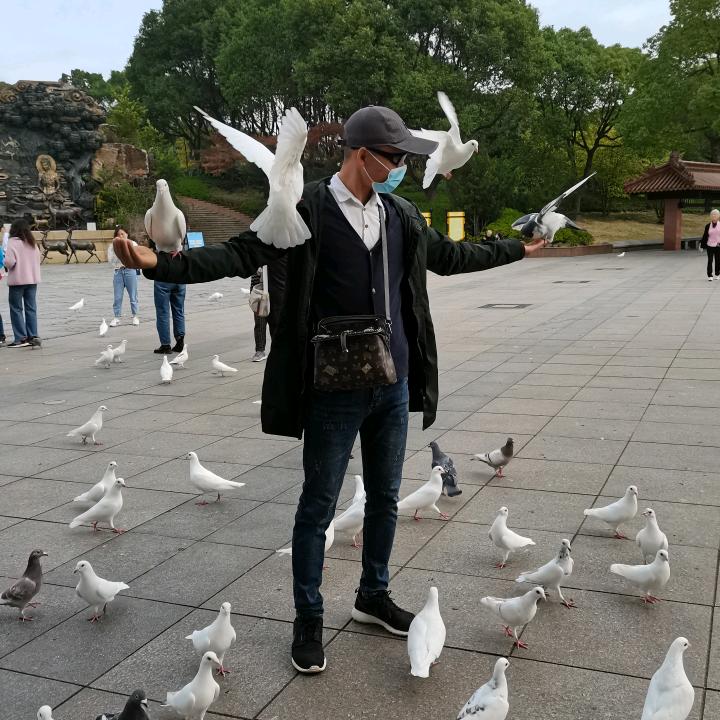 华华江浙沪专业修钉马掌