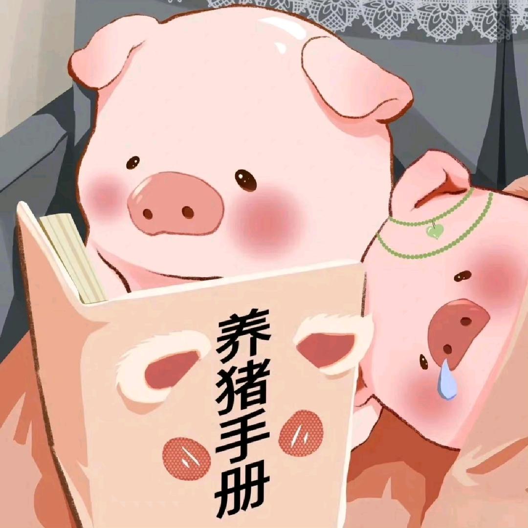 小猪崽子
