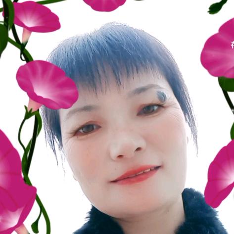 星辰《橱窗好物》