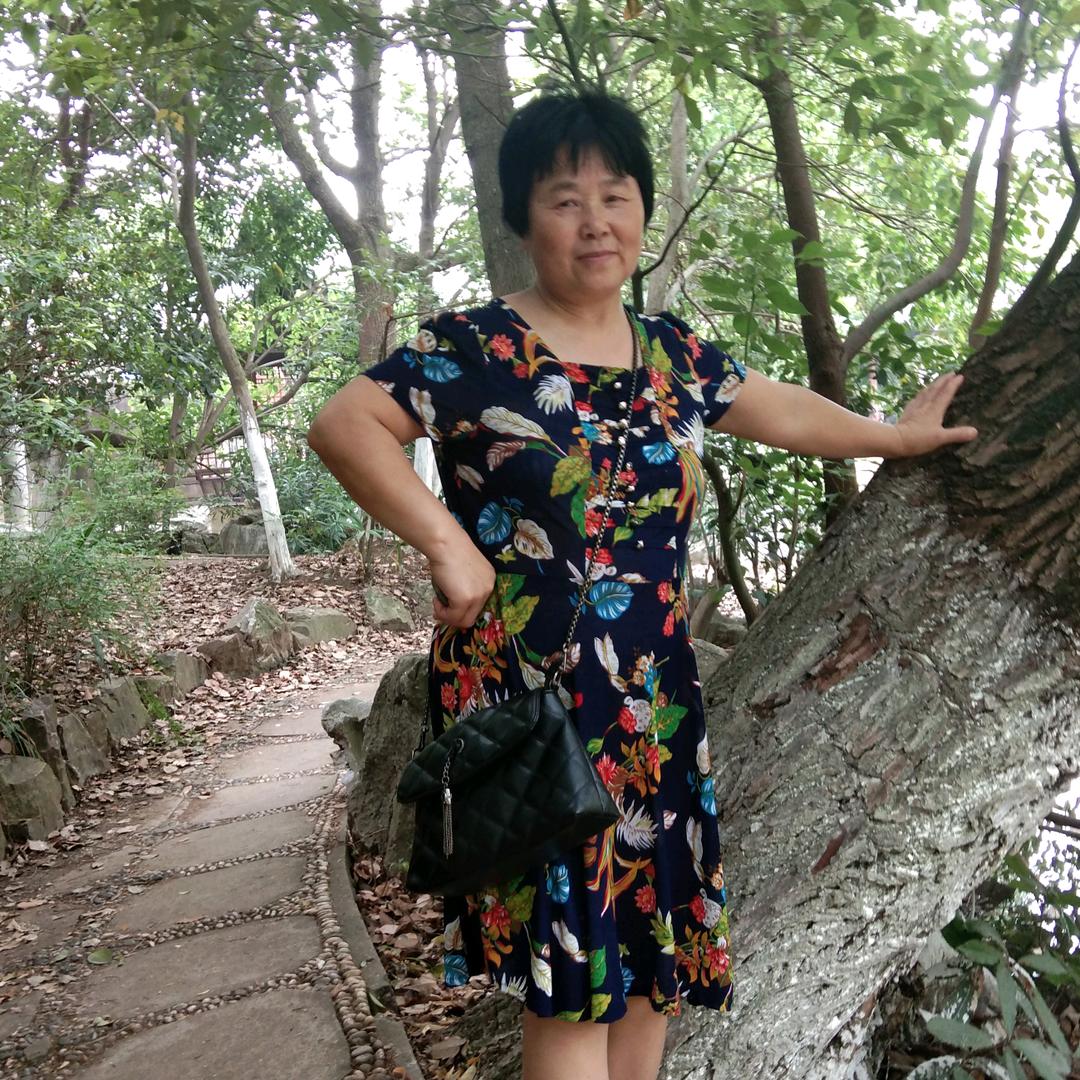 踏雪寻梅