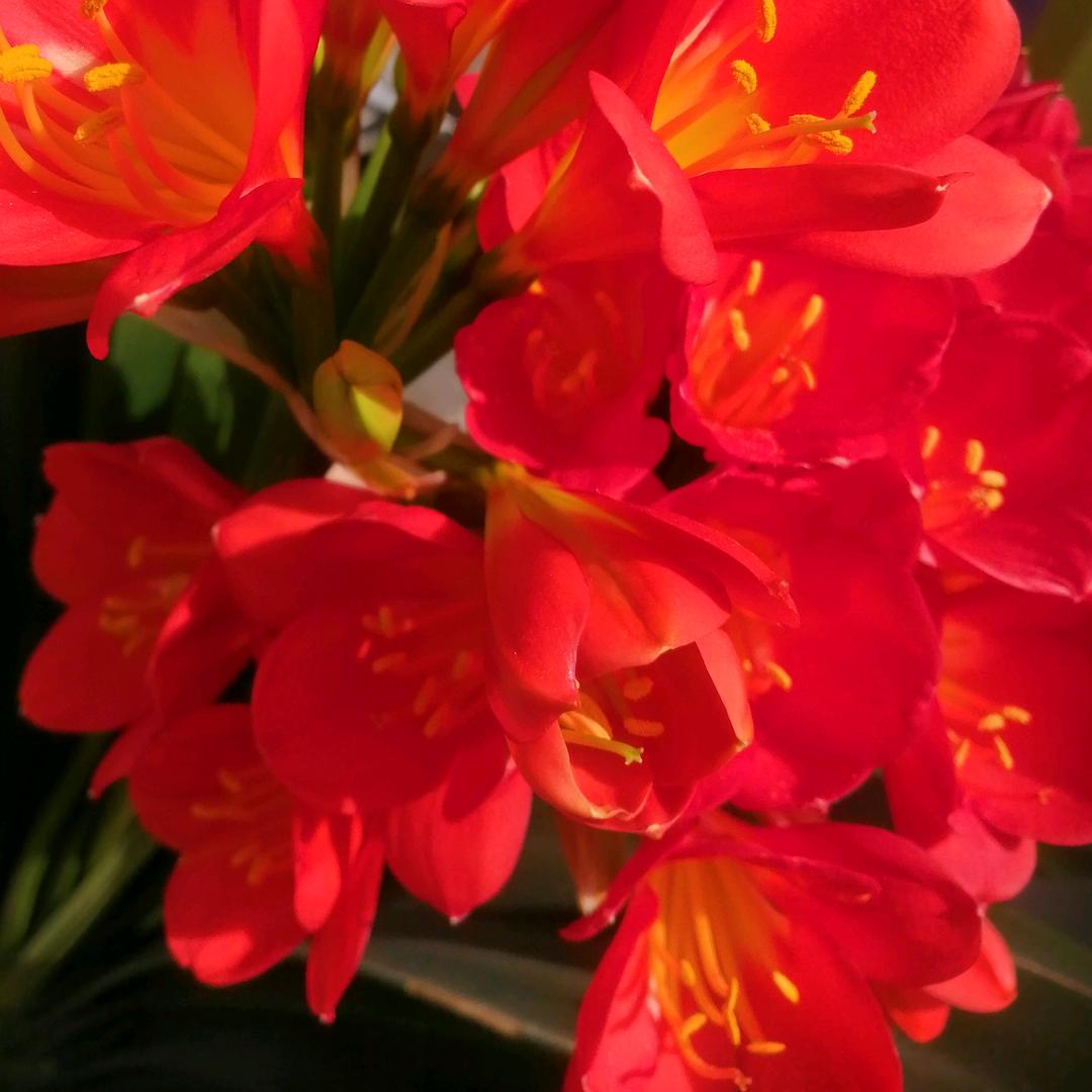 雅慧渔家官方号