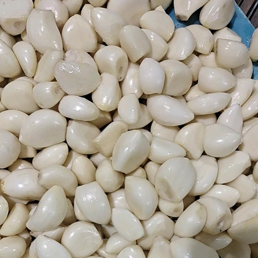 蒜米直销