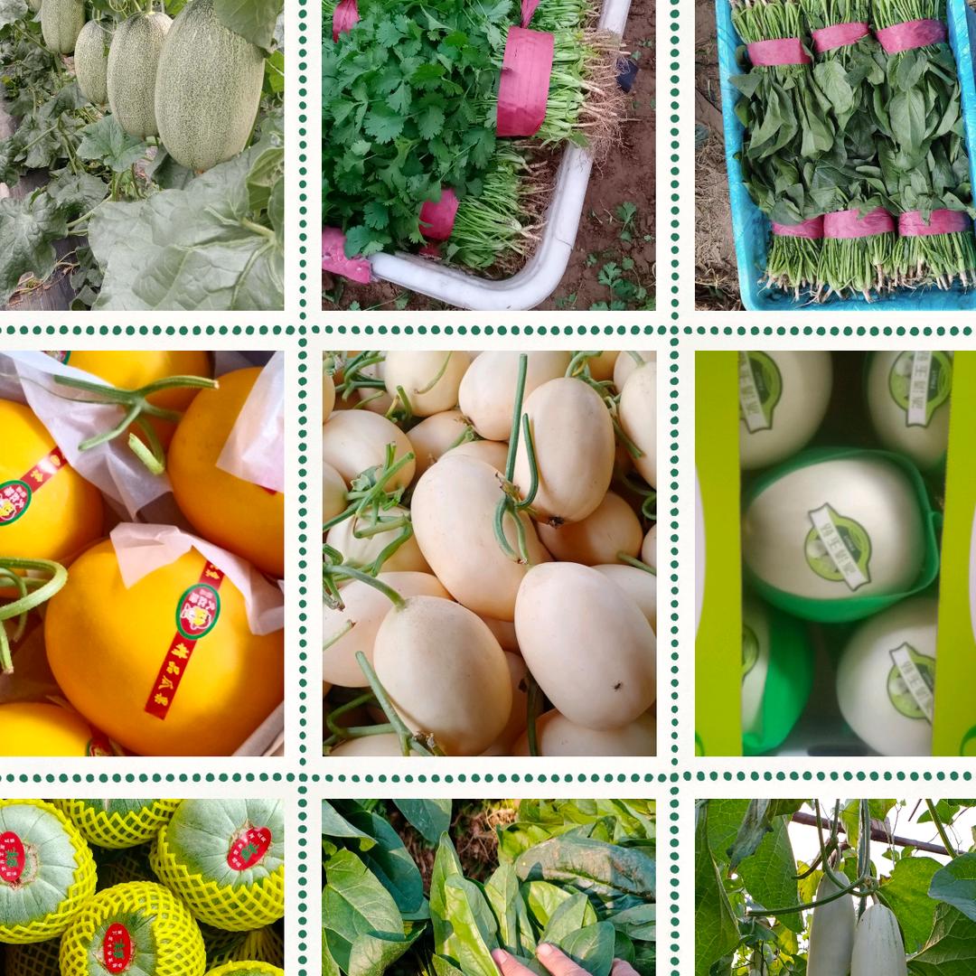 欢乐万亩果蔬经营部（个体工商户）